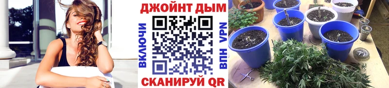 Конопля SATIVA & INDICA  купить закладку  Петушки 